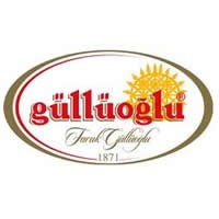 1gulluoglu